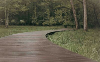 What Is Naturopathic Medicine? A Practical Guide for Curious Midwesterners